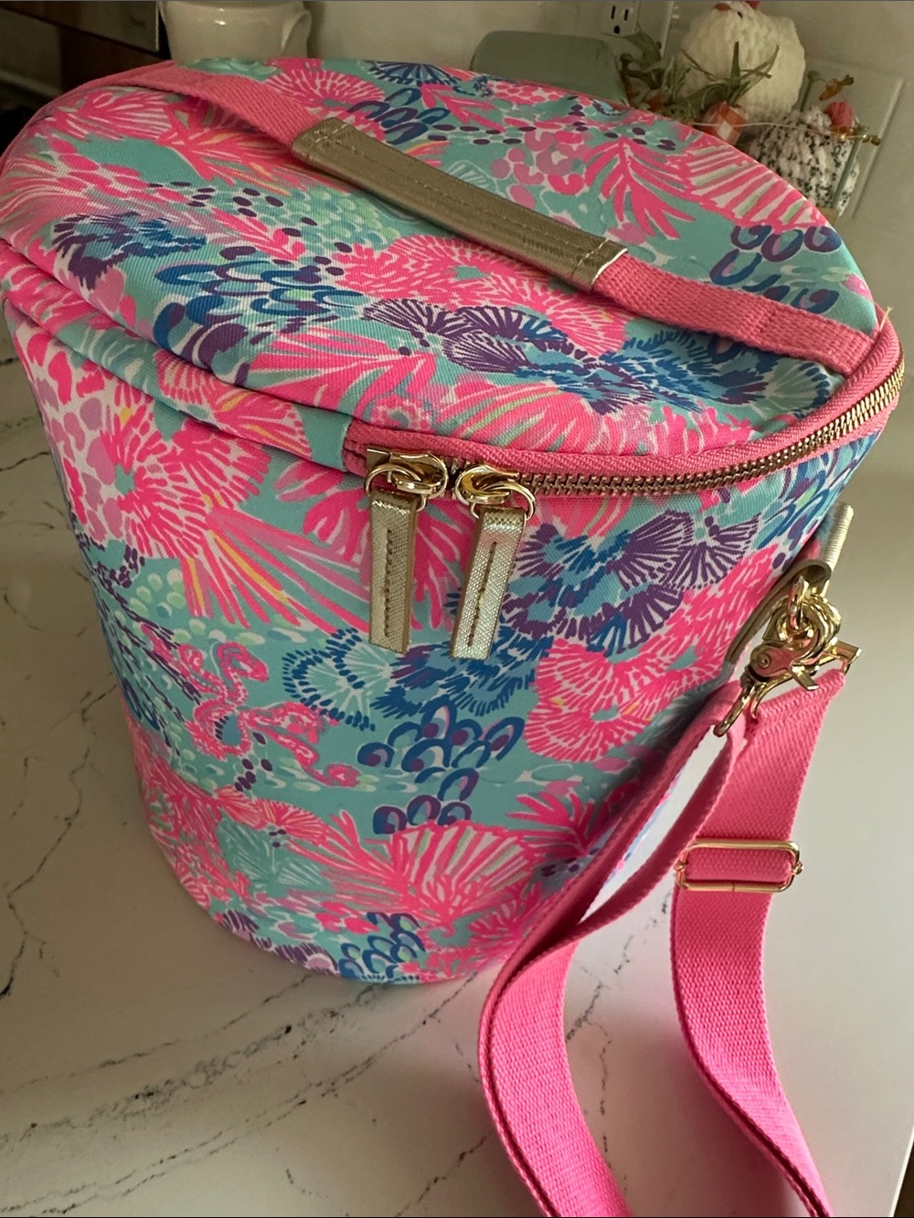 Lilly Pulitzer Soft Beach Cooler Splendor in the Sand - Like New - Picture 4 of 8